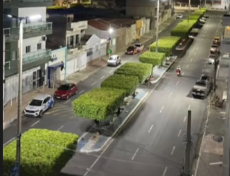 Prefeitura de Itaporanga intensifica servi�os de poda de �rvores na cidade